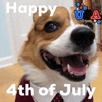 Happy 4Th Of July GIF