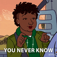 Bojack Horseman Comedy GIF by NETFLIX