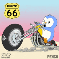 Road Trip Penguin GIF by Pudgy Penguins