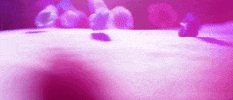 Fueled By Ramen Flower GIF by Meet Me @ The Altar