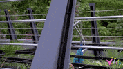 GIF by Vidiots