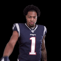 New England Patriots Football GIF by NFL