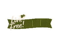 BFree_Foods vegan healthy bread vegetarian Sticker