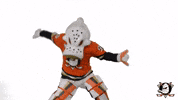 Wild Wing Rock GIF by Anaheim Ducks