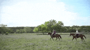 texas GIF
