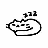 Cat Sleep GIF