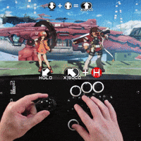 XU - GGST - May - Mr. Dolphin (Vertical) - Loop