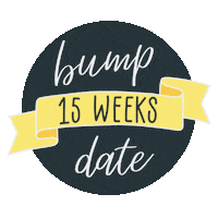 Baby Pregnancy Sticker