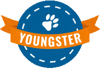 foerdehunde dog school dogs hund Sticker