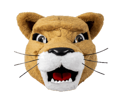 Mascot Heart Eyes Sticker by University of Houston