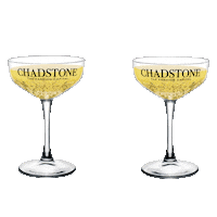 ChadstoneFashion christmas chadstone chadstone the fashion capital chadstone fashion Sticker
