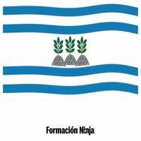 La Coruna Flag GIF by Formación Ninja