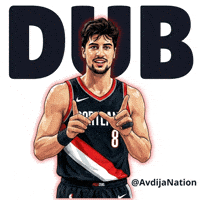 Nba Portland Blazers GIF