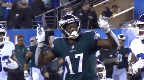 2018 nfl football GIF by NFL