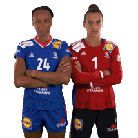 Ffhandball Sticker by Fédération Française de Handball