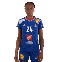 Ffhandball Sticker by Fédération Française de Handball