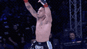 lightsoutxf celebration celebrate win winner GIF