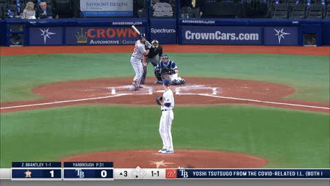 estee42 giphyupload GIF
