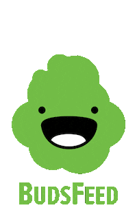 budsfeed bud buds budsfeed buds feed Sticker