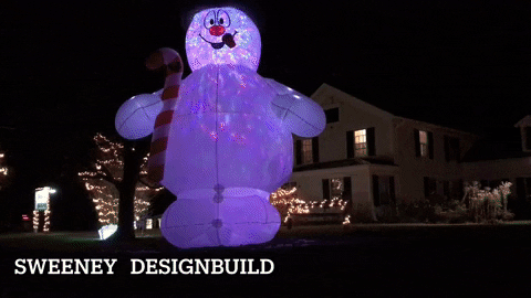 joelbannerbaird giphyupload GIF