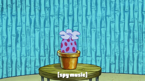 season 9 the fish bowl GIF by SpongeBob SquarePants
