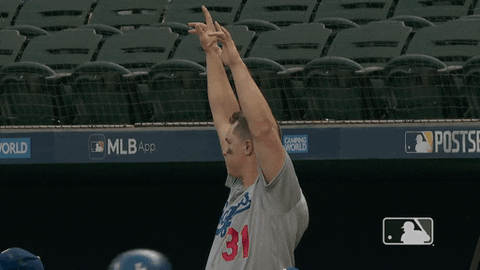 Major League Baseball Sport GIF by MLB