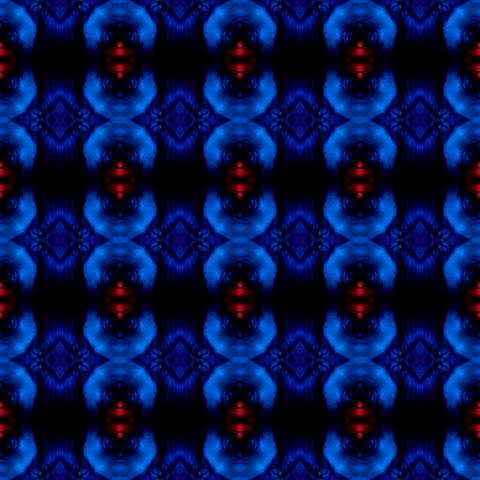 mavtobar kaleidoscope touchdesigner GIF