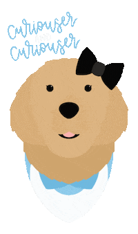 Curiouser And Curiouser Sticker