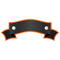 FoxGymGyor gyor foxgym foxgymgyor foxgym győr Sticker