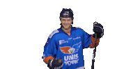 Goal Eagles Sticker by UNIS Flyers