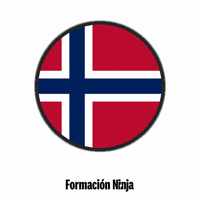 Norway Flag No GIF by Formación Ninja