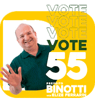 luizbinotti  Sticker