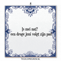 Humor Nl GIF by Tegelspreuken.nl