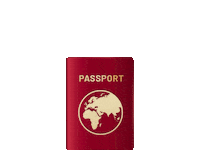 Travel Plane Sticker by The Points Guy