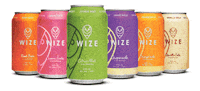 Cheers Drinks Sticker by Wize Spirits