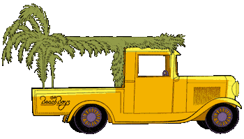 Beach Boys Christmas Sticker by Universal Music Polska