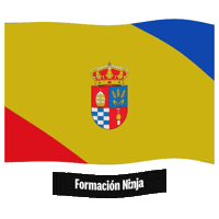 Castilla Y Leon Flag Sticker by Formación Ninja