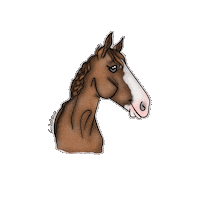 Horse Sticker