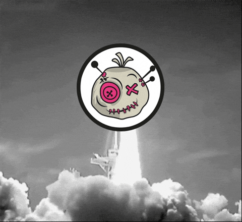 voodootoken giphyupload meme coin memecoin GIF