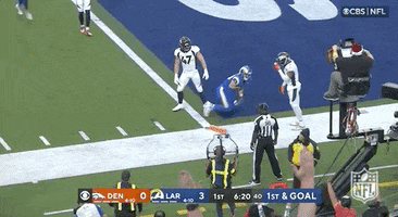 Los Angeles Rams Football GIF by NFL