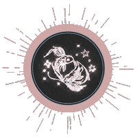 Zodiac Sign Star Sticker by Spell & The Gypsy Collective