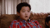 Fresh Off The Boat What GIF by ABC Network