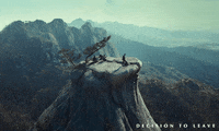 Park Chan-Wook Mountain GIF by Madman Films