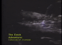 mdleone caravan of courage GIF