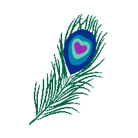 Peacock Sticker by Harveys Seatbelt Bag
