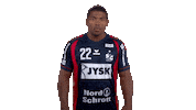 Handball-Bundesliga Party Sticker by LIQUI MOLY HBL