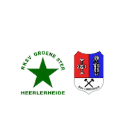 Sport Heerlen Sticker by Groene ster