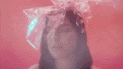 thebeachesband beaches the beaches snake tongue GIF