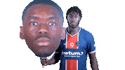 Happy France Sticker by Paris Saint-Germain Handball