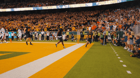 Baylor Bears Sic Em GIF by Baylor Athletics
